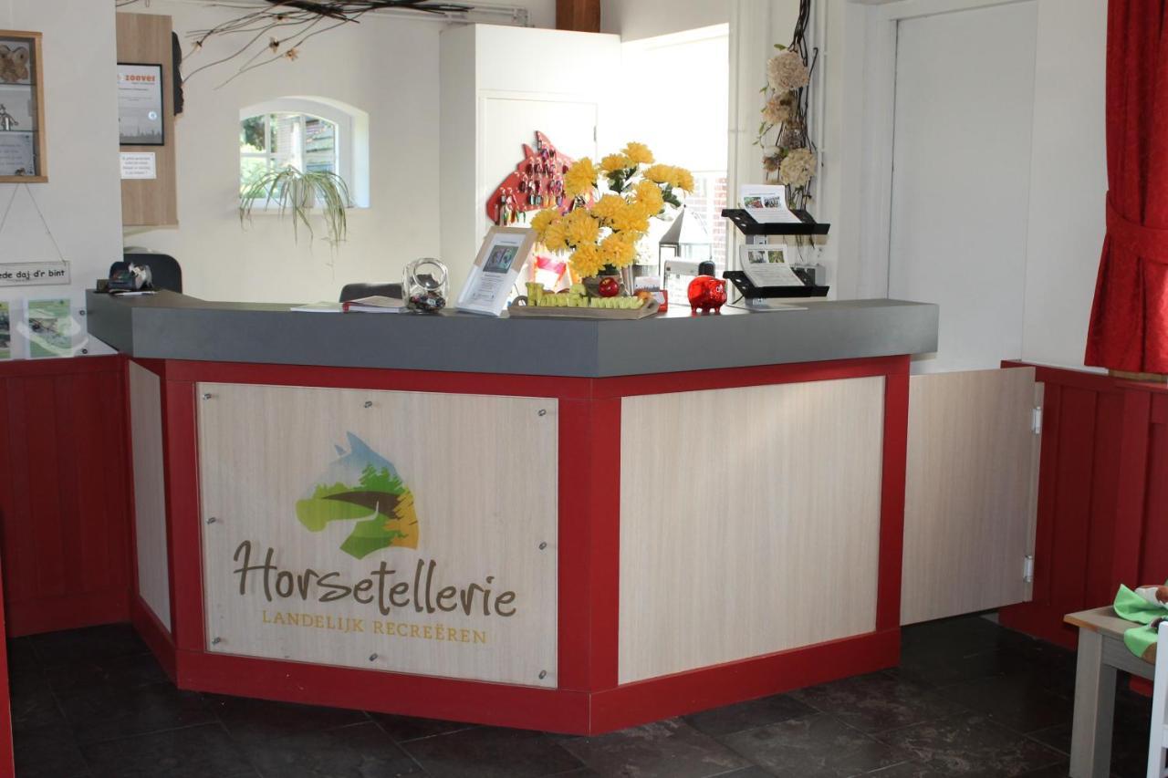 Horsetellerie Rheezerveen ฮาร์เดนแบร์ก ภายนอก รูปภาพ