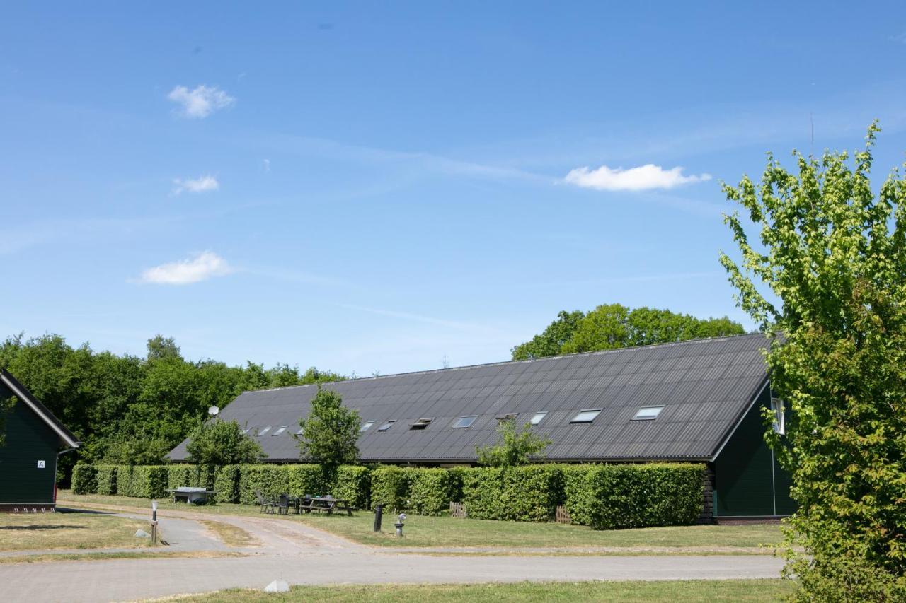 Horsetellerie Rheezerveen ฮาร์เดนแบร์ก ภายนอก รูปภาพ