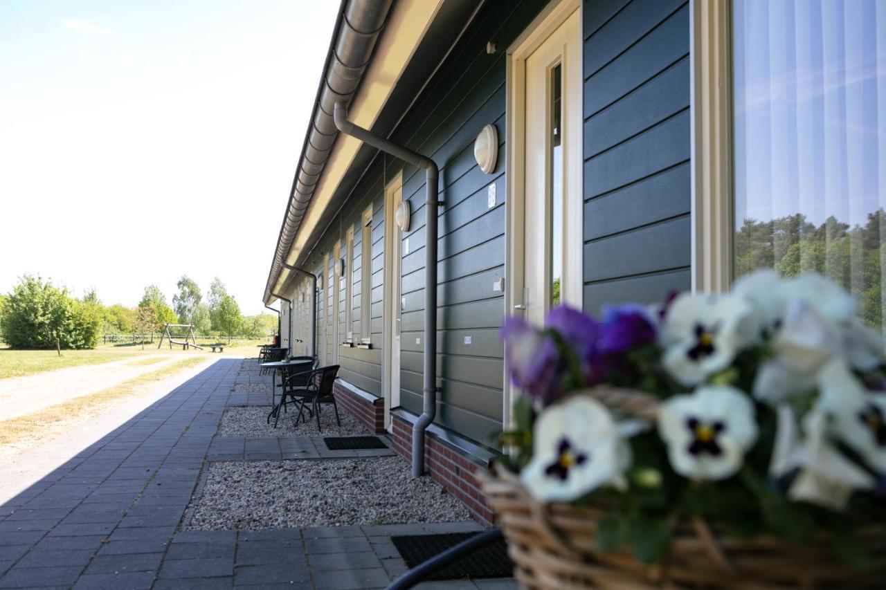 Horsetellerie Rheezerveen ฮาร์เดนแบร์ก ภายนอก รูปภาพ